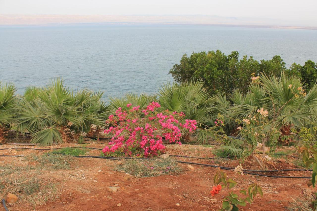 Samarah Dead Sea Resort Studio-Cp6 Traveler Award 2023 Winner Thursday, Friday And Saturday Groups Consisting Solely Of Male Guests Are Not Permitted Sweimeh Экстерьер фото